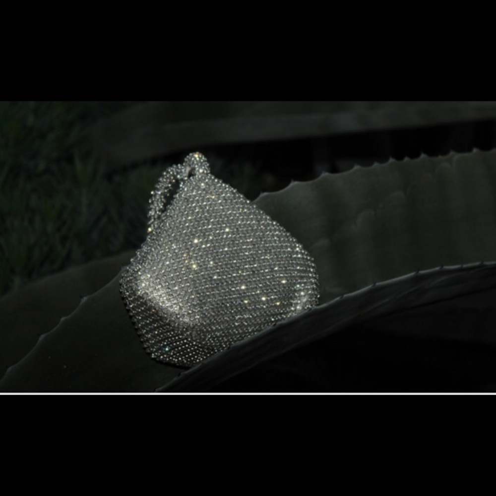 Silver purse
